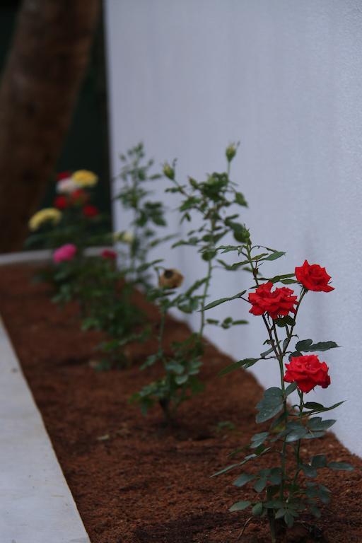 Villa Dineha Hikkaduwa Buitenkant foto